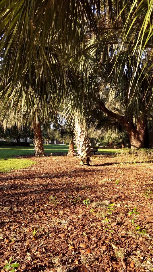 In the Holiday&nbsp;Mood