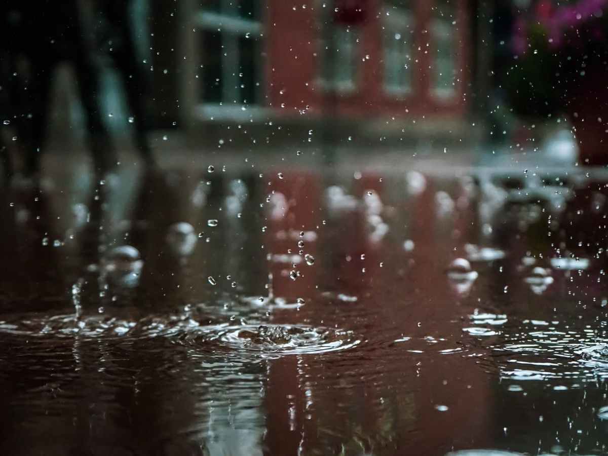A Musicale for a Rainy Tuesday in October&nbsp;2026