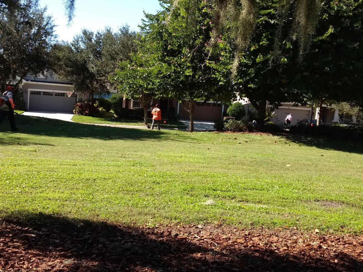 An Unstructured Sunday