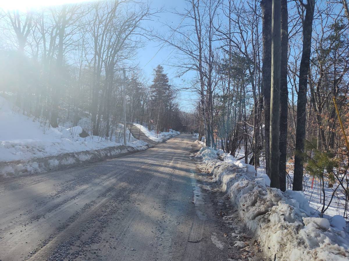 Remembering the Springs I’ve&nbsp;Known