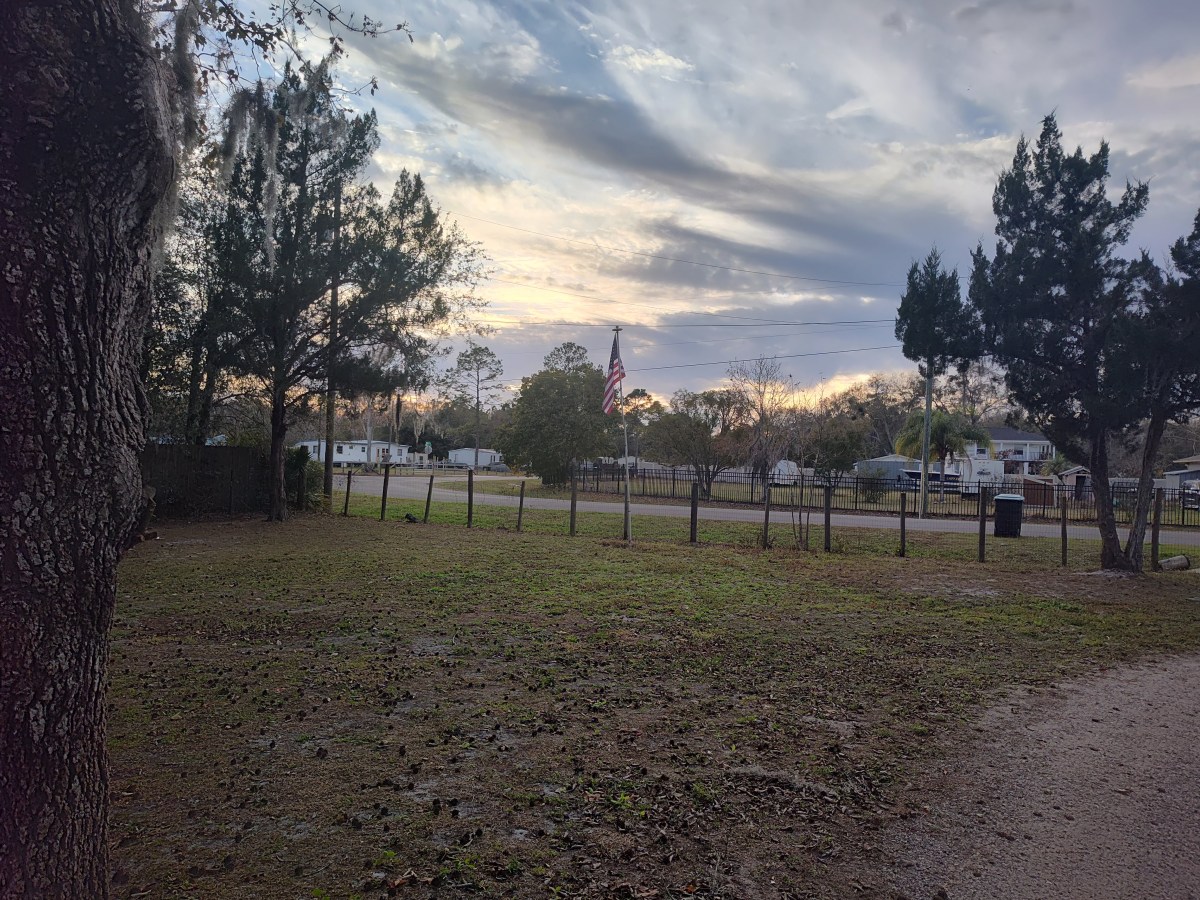 A Goldilocks Saturday in Central&nbsp;Florida