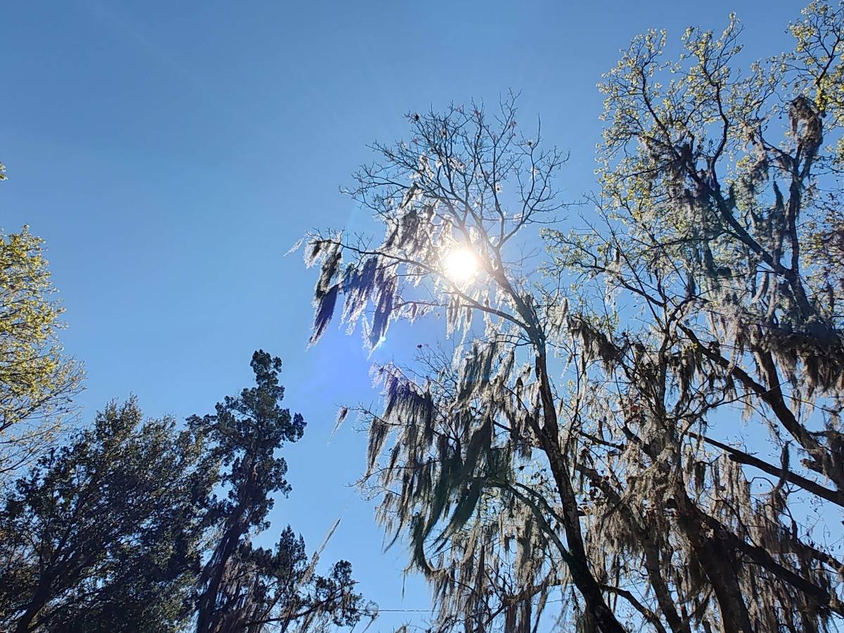 Catching the Cool Side of&nbsp;Spring