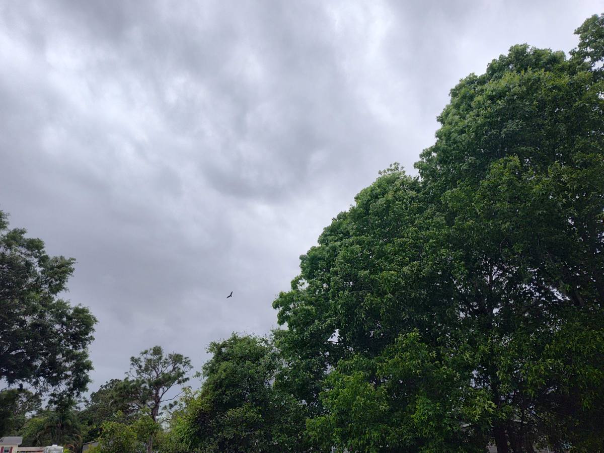 Creativity, Cloud Cover, and a Trip Back to&nbsp;1975