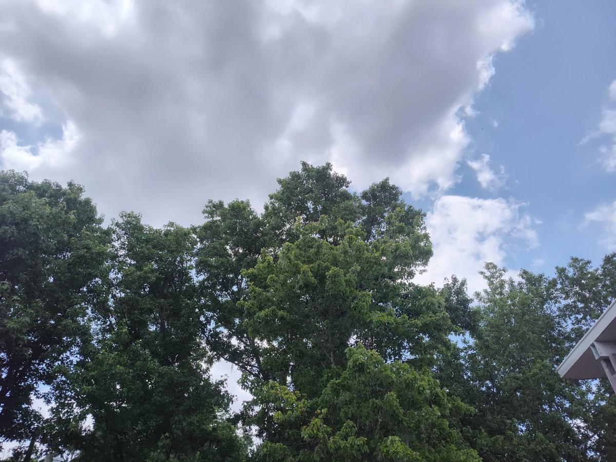 Musings and Thoughts for Sunday, August 30,&nbsp;2026